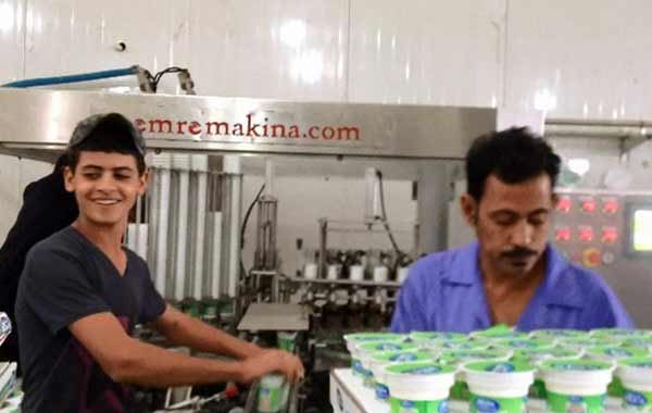 Rotary Yogurt Pot Filling Sealing Machine Rotary Yogurt Pot Filling Sealing Machine