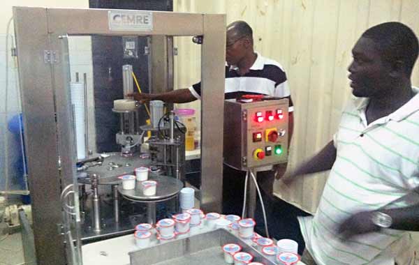 Yogurt Pot Filling Sealing Machine Yogurt Pot Filling Sealing Machine